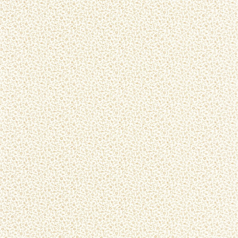 Papeterie, Ensemble De Fille Aux Couleurs Pastel Sur Le Fond Blanc,  Flatlay, D'isolement, Faux Vue Sup?rieure Copiez L'espace Image stock -  Image du configuration, remarque: 153787169